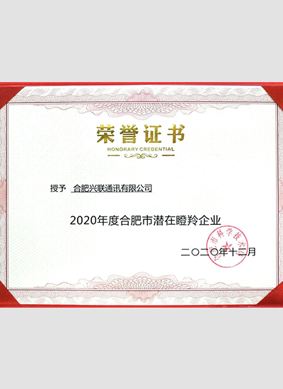 2025新澳门免费原料宝典