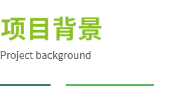 2025新澳门免费原料宝典