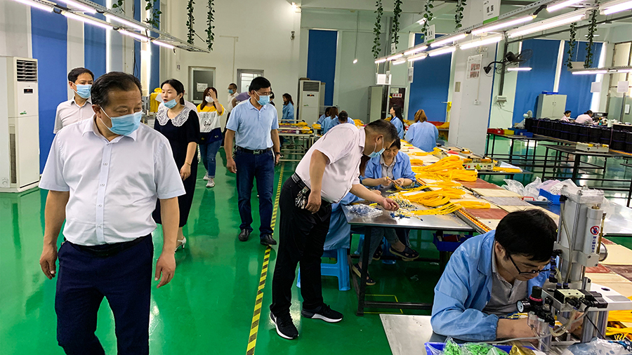 2025新澳门免费原料宝典