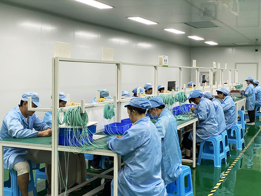 2025新澳门免费原料宝典