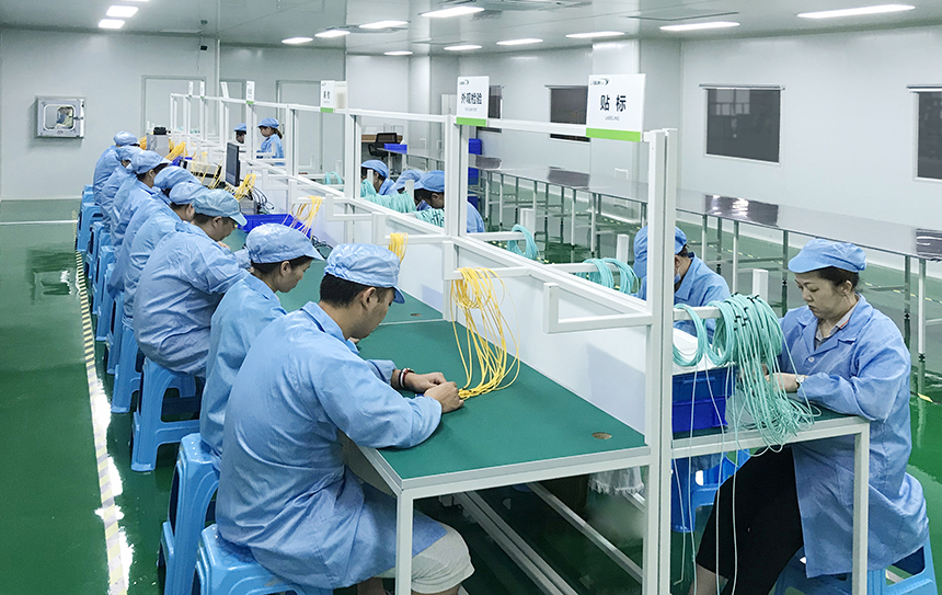 2025新澳门免费原料宝典