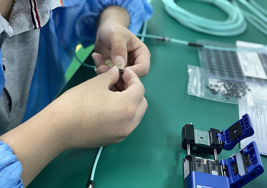 2025新澳门免费原料宝典