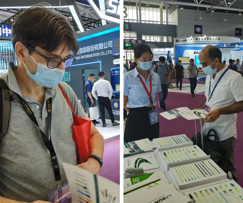 2025新澳门免费原料宝典