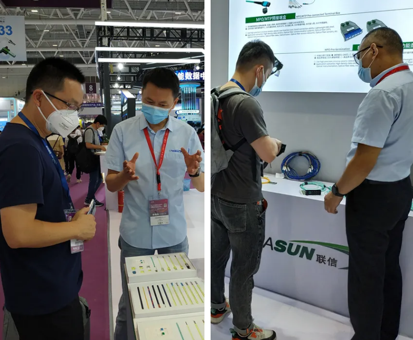 2025新澳门免费原料宝典