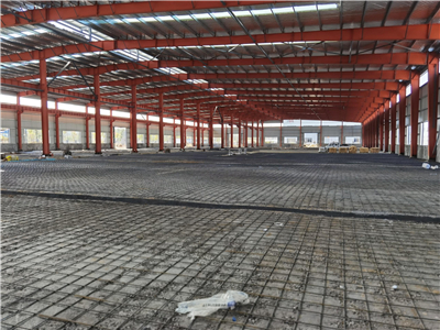 2025新澳门免费原料宝典