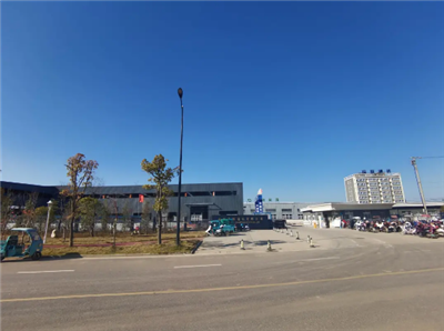 2025新澳门免费原料宝典