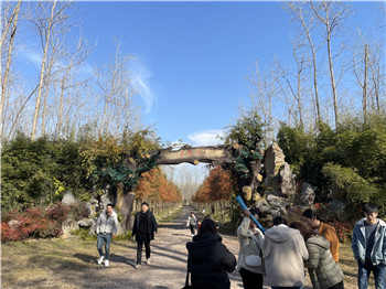 2025新澳门免费原料宝典