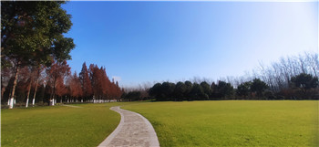 2025新澳门免费原料宝典