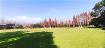 2025新澳门免费原料宝典