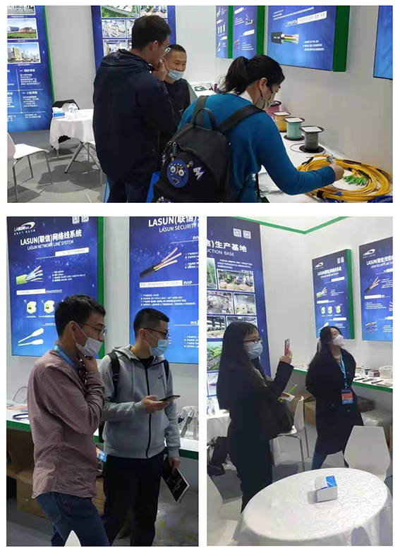 2025新澳门免费原料宝典