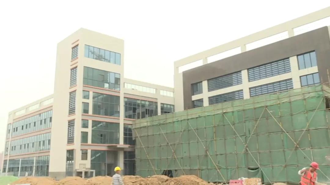 2025新澳门免费原料宝典