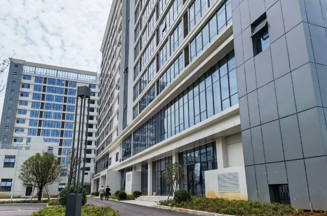 2025新澳门免费原料宝典