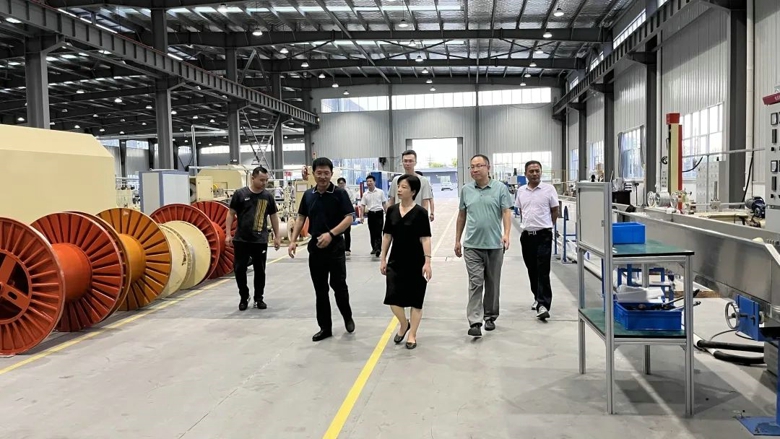 2025新澳门免费原料宝典