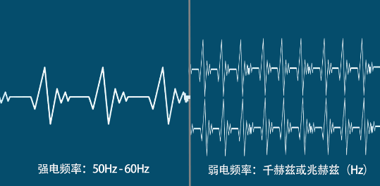 2025新澳门免费原料宝典