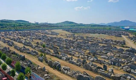 2025新澳门免费原料宝典