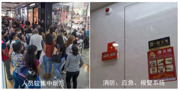 2025新澳门免费原料宝典