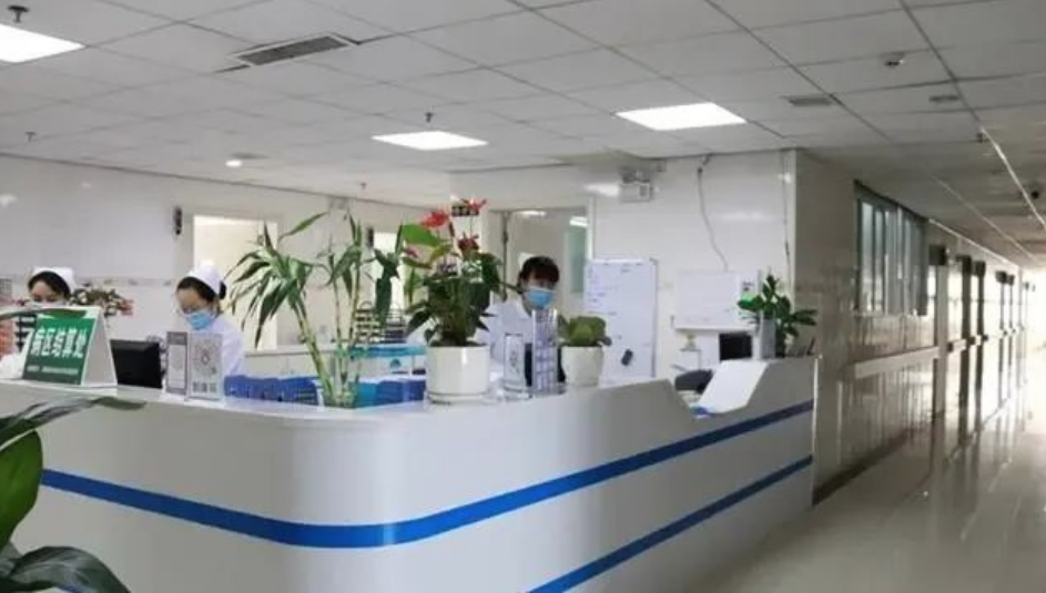 2025新澳门免费原料宝典