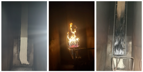 2025新澳门免费原料宝典