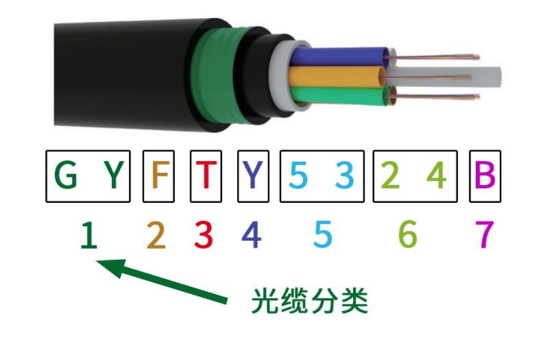 2025新澳门免费原料宝典
