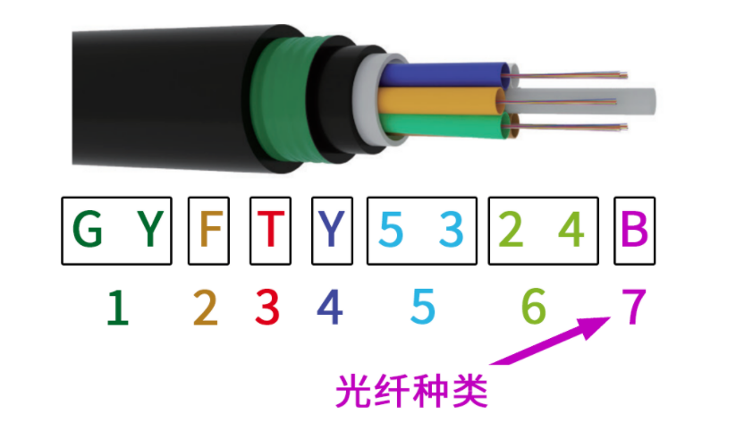 2025新澳门免费原料宝典