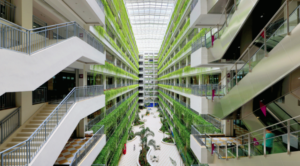 2025新澳门免费原料宝典