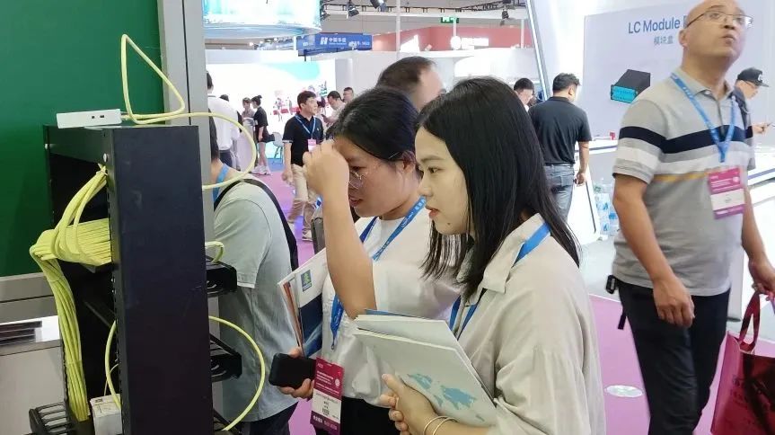 2025新澳门免费原料宝典