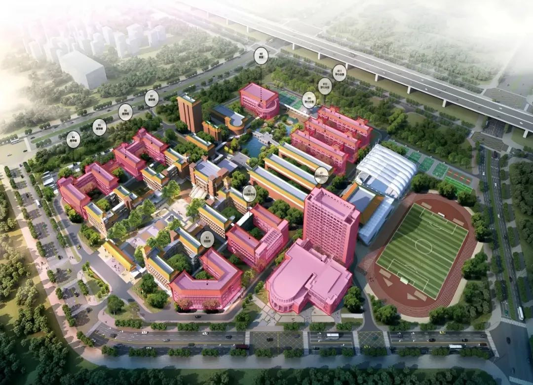 2025新澳门免费原料宝典