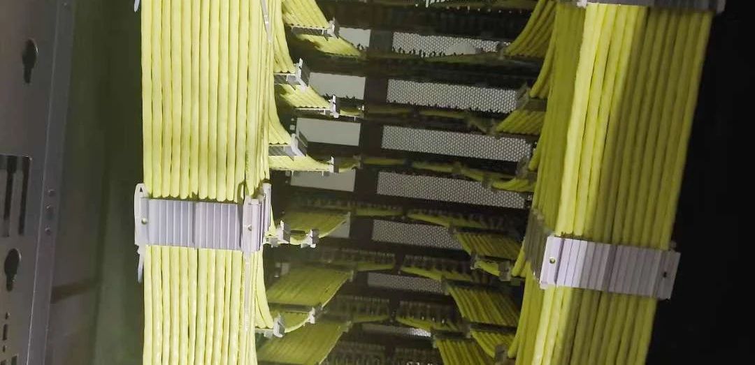 2025新澳门免费原料宝典