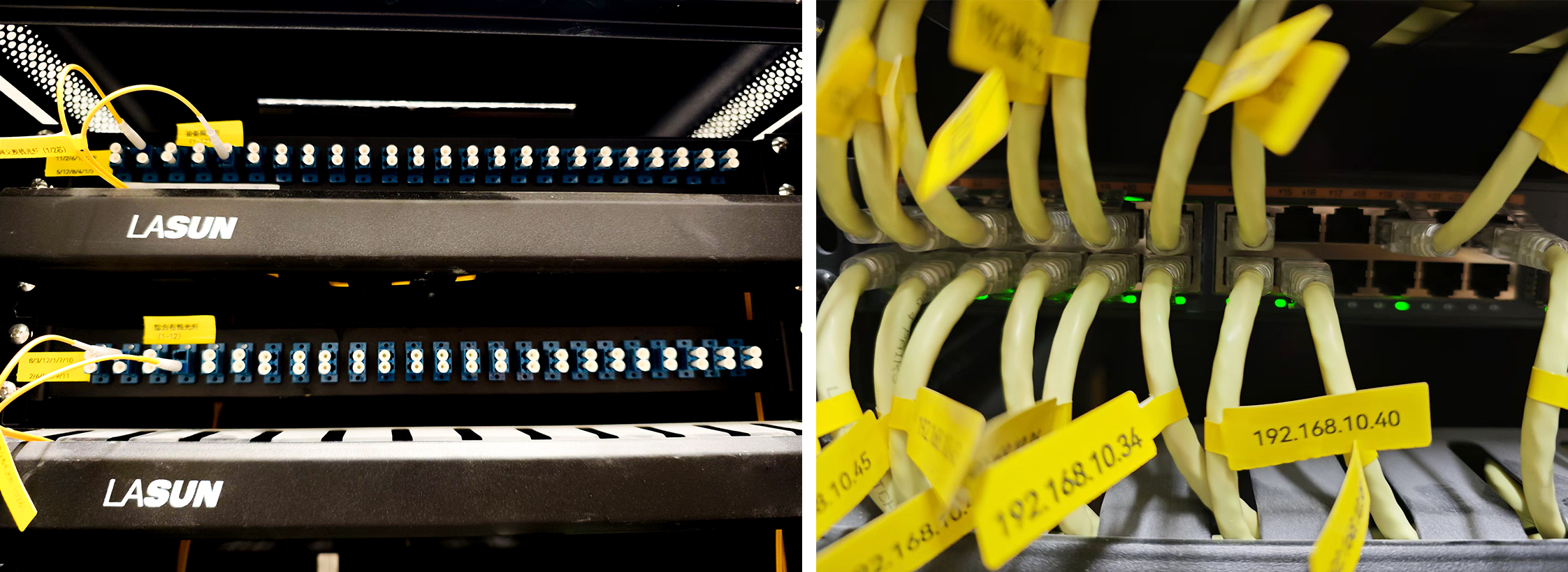 2025新澳门免费原料宝典