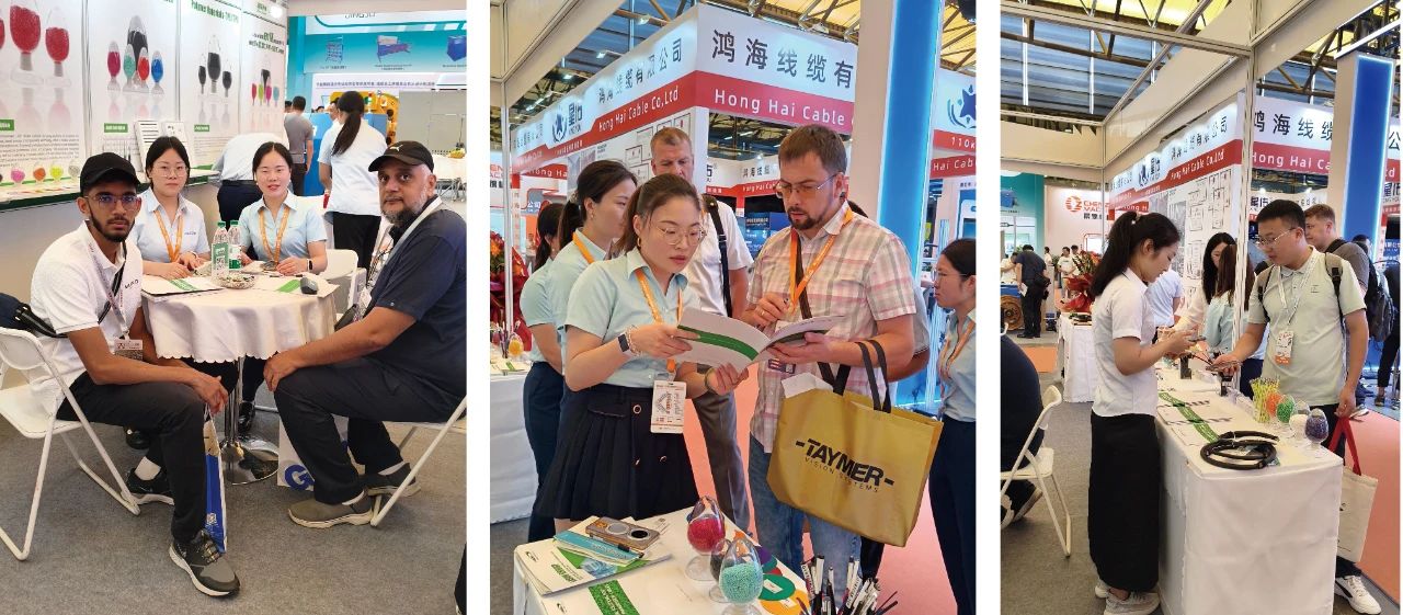 2025新澳门免费原料宝典