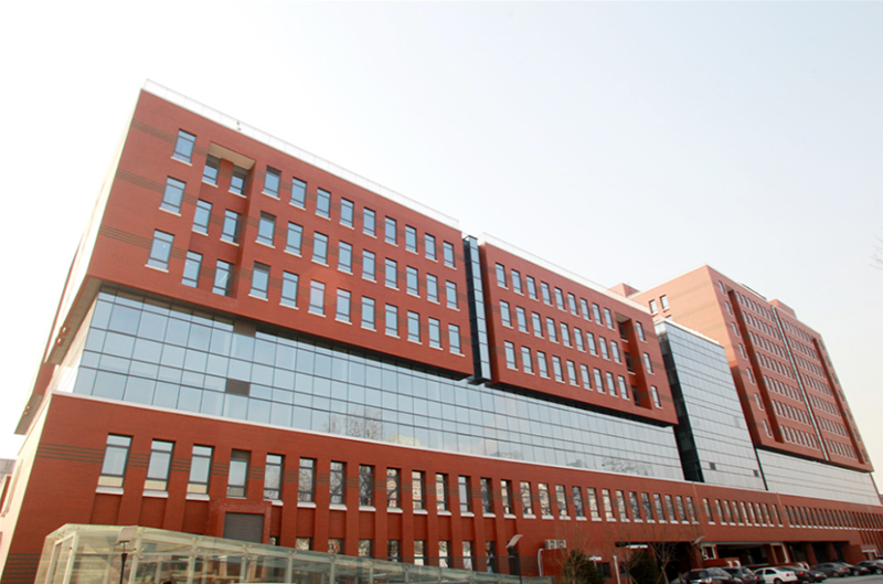 2025新澳门免费原料宝典