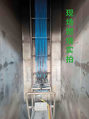 2025新澳门免费原料宝典