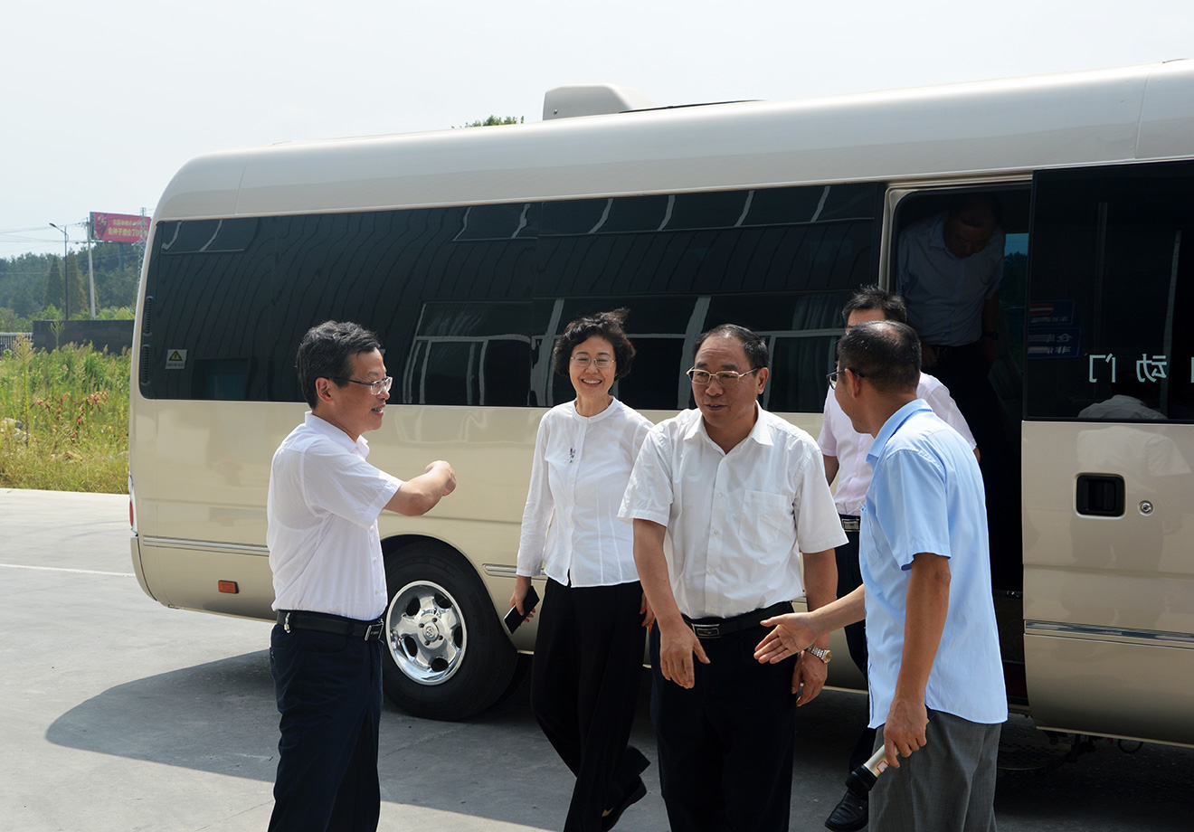 2025新澳门免费原料宝典