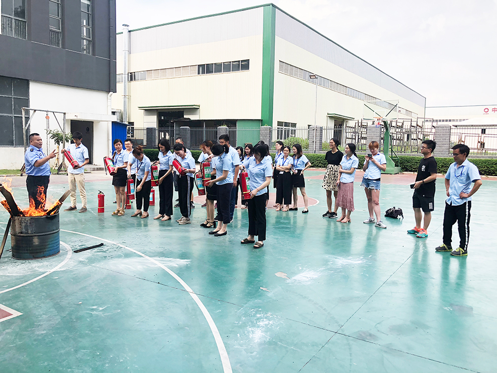 2025新澳门免费原料宝典