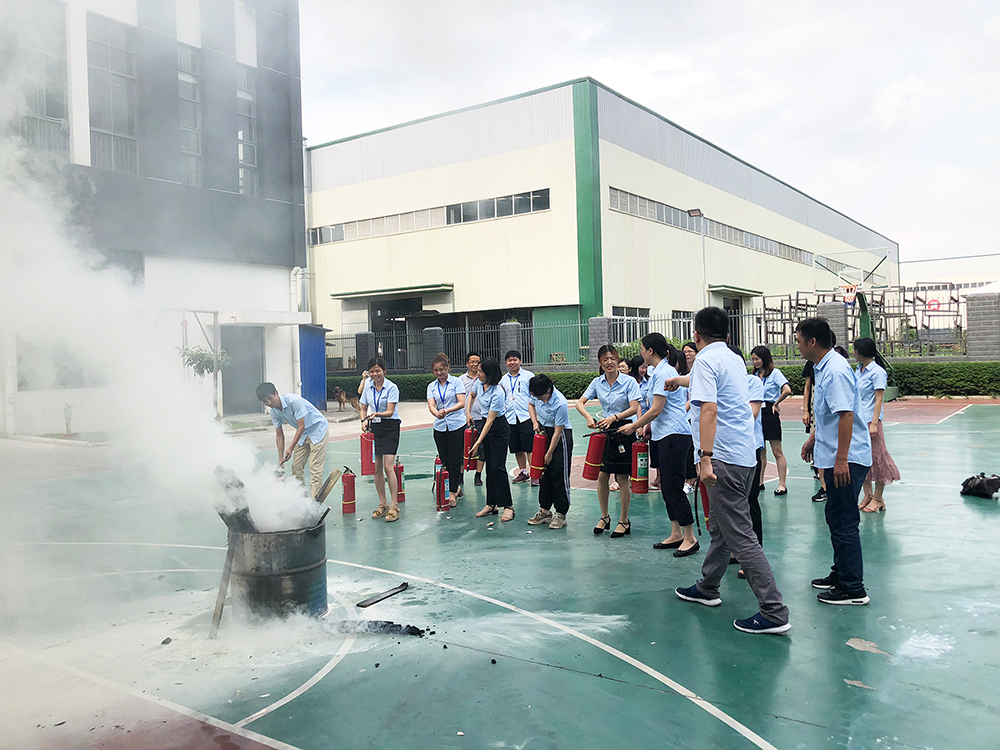 2025新澳门免费原料宝典