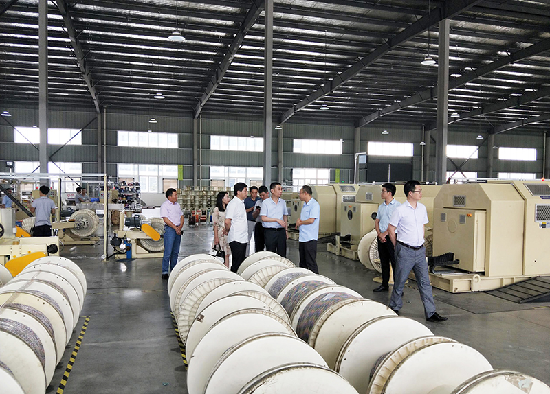 2025新澳门免费原料宝典