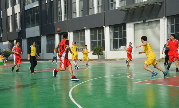 2025新澳门免费原料宝典