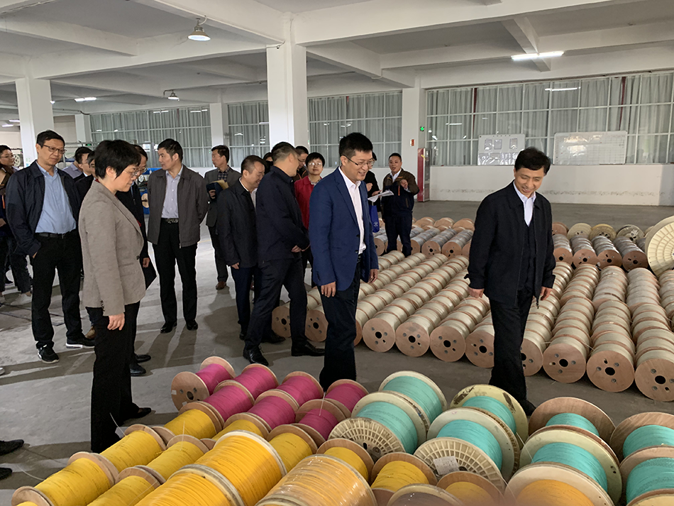 2025新澳门免费原料宝典