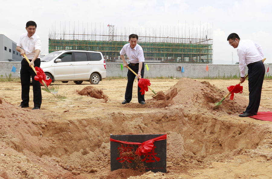 2025新澳门免费原料宝典