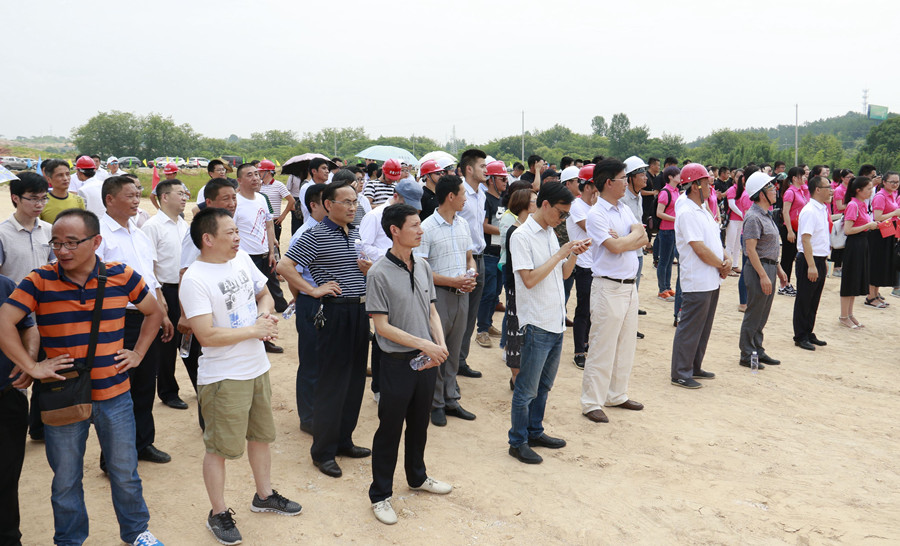 2025新澳门免费原料宝典