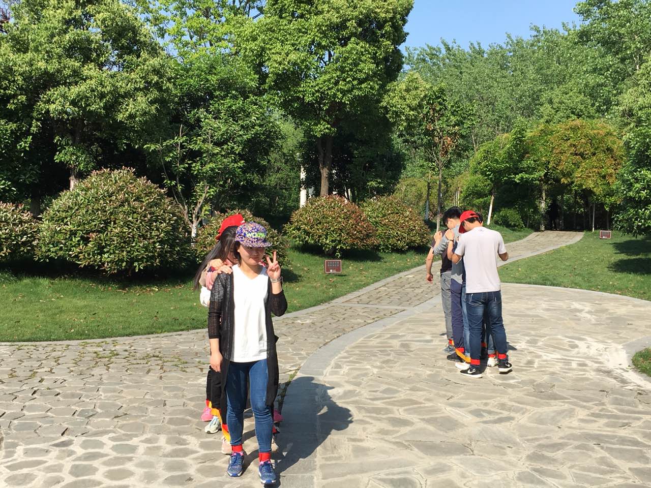 2025新澳门免费原料宝典