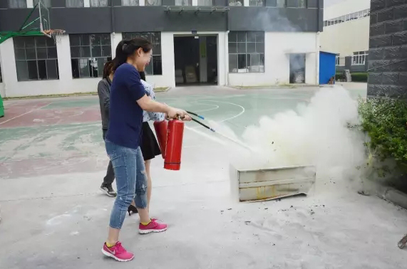 2025新澳门免费原料宝典