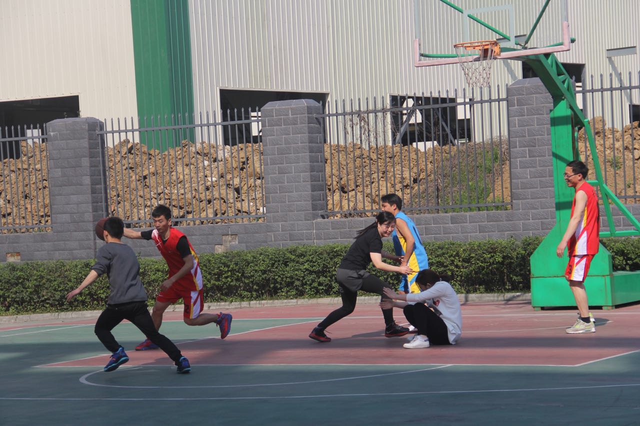 2025新澳门免费原料宝典