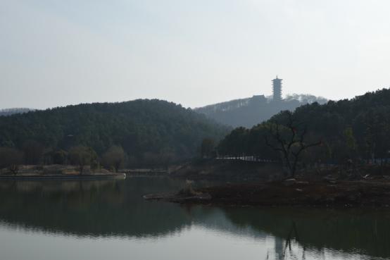 2025新澳门免费原料宝典