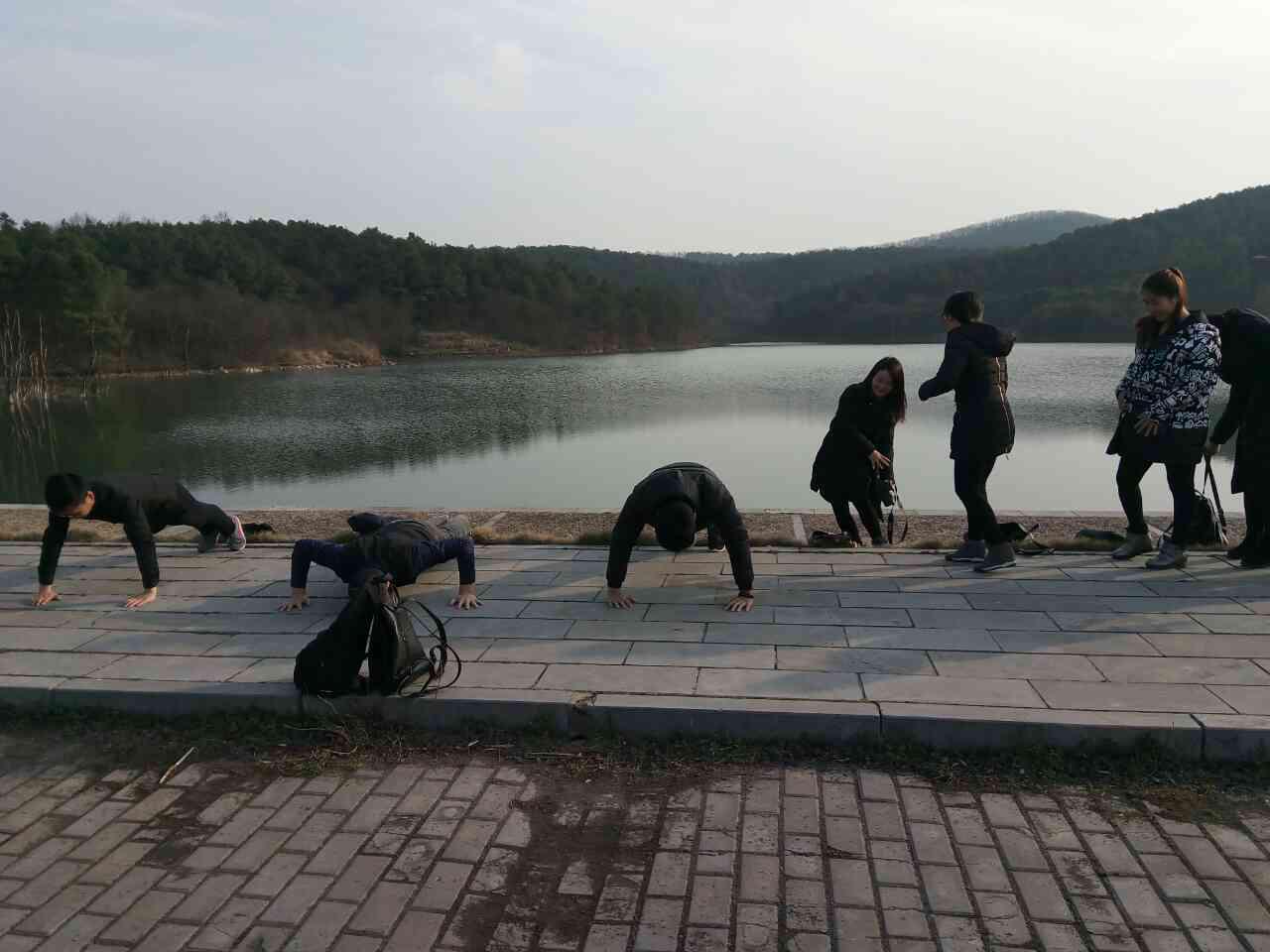 2025新澳门免费原料宝典