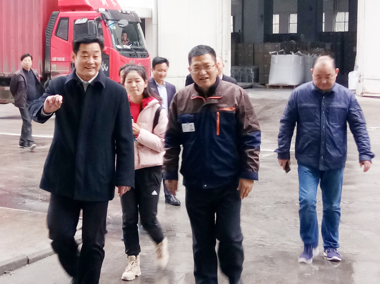 2025新澳门免费原料宝典