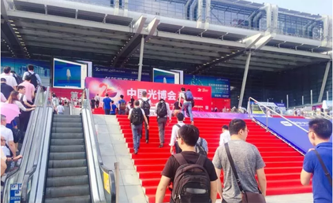 2025新澳门免费原料宝典