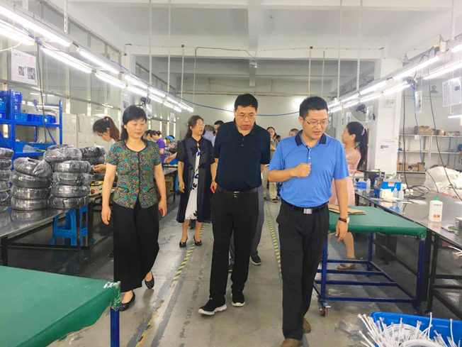 2025新澳门免费原料宝典