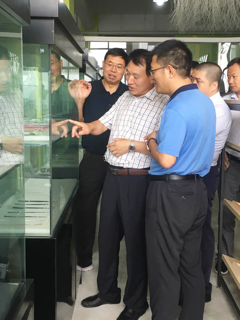 2025新澳门免费原料宝典