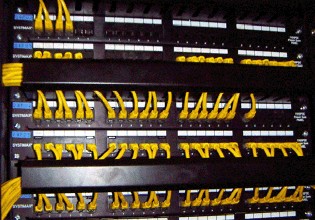 2025新澳门免费原料宝典